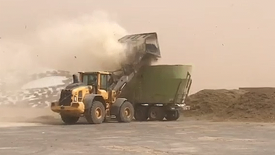 feed getting blown around